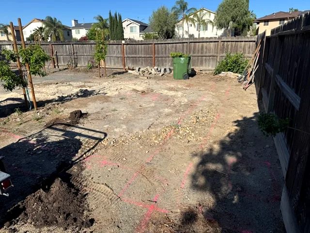 Backyard before: bare graded dirt along a wood fence with young trees staked